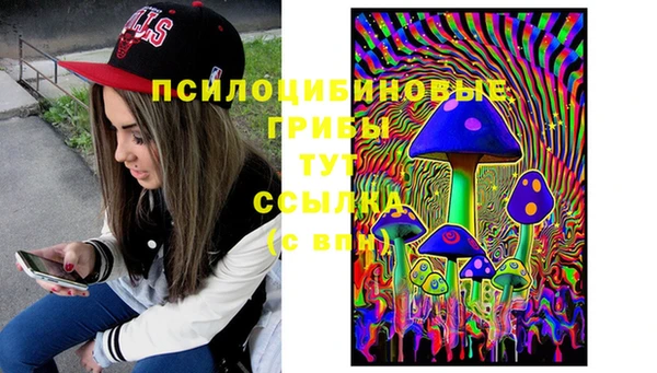 2c-b Алексин
